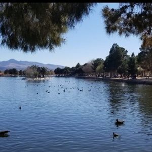 Meet your Posher, Lucy